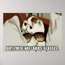 Search for cat with glasses posters Funny