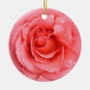 Search for petals christmas tree decorations Bloom