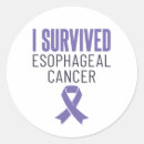 Search for cancer quotes stickers Saying