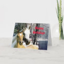 Search for colt christmas cards Equine