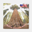 Search for sherman magnets Sequoia