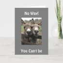 Search for donkey cards Co worker
