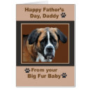 Search for big dad cards Black