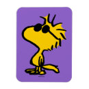 Search for cool magnets Summer