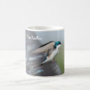 Search for swallows mugs Nature