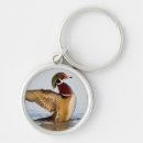 Search for claw key rings Aix sponsa