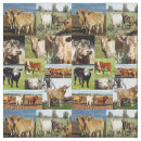 Search for cow fabric Highland