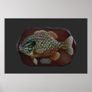 Search for sunfish posters Freshwater