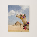 Search for egypt pyramids puzzles Architecture
