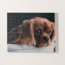 Search for cavalier king charles spaniel gifts Cute