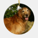 Search for flat coated retriever christmas tree decorations Goldie