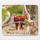 Search for macaw electronics Nature