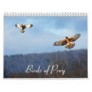 Search for birds of prey calendars Nature