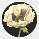 Search for poppy flower stickers Floral