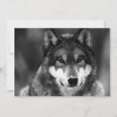 Search for white wolf invitations Wolves