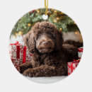 Search for labradoodle christmas tree decorations Pet