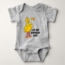 Search for sesame street baby bodysuits Big birds cousin