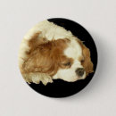 Search for cavalier badges Pet