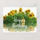 Search for happy birthday sunflower postcards Summer