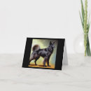 Search for belgian shepherds cards Animal