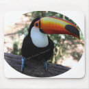 Search for storing mousepads Store