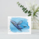 Search for cetacean postcards Humpback