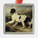 Search for newfoundland dog christmas tree decorations Dogs