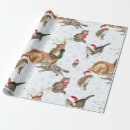 Search for kitty cat wrapping paper Fun