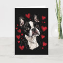 Search for boston terrier valentines day cards Heart