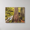 Search for branch canvas prints Forest