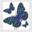 Search for butterflies fly stickers Blue
