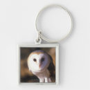 Search for bird of prey key rings Wildlife