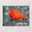 Search for red key postcards Flowers