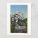 Search for lambert postcards Portland