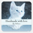Search for kitty love photography Feline