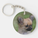 Search for long haired chihuahua key rings Headshot