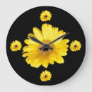 Search for gerber daisies art Nature