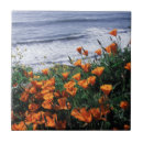 Search for coastline tiles Big sur