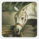 Search for reining stickers Reins