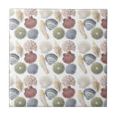 Search for shell the tiles Beach house