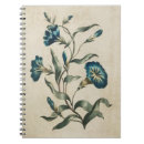 Search for convolvulus Botany