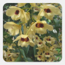 Search for yellow orchid stickers Nature