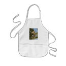 Search for nocturnal aprons Owls