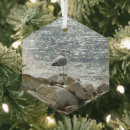 Search for seagull christmas tree decorations Water
