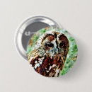 Search for owl badges Nature