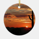Search for arizona christmas tree decorations Nature