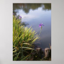 Search for iris painting posters Digital