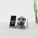Search for meerkat thank you cards Mongoose