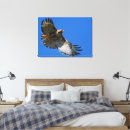 Search for red tail hawk art Bird of prey