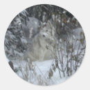 Search for dog winter stickers Dogs